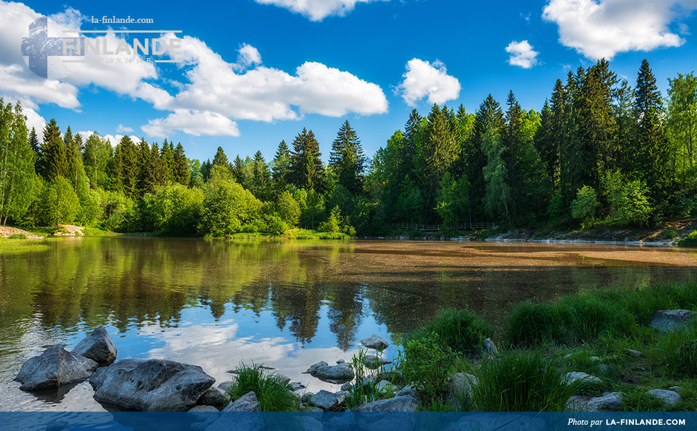 Lac des bois