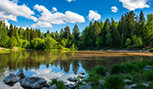 Lac des bois